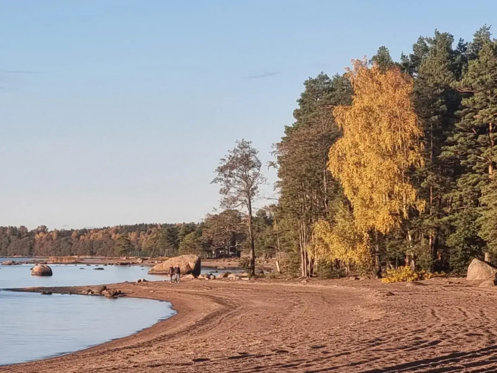 Фотография Коттеджа Олта