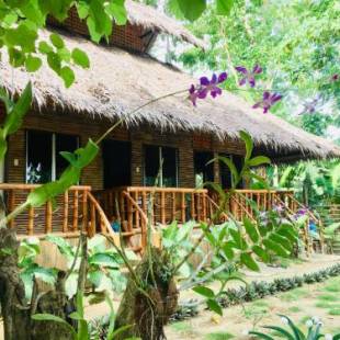 Фотографии гостиницы 
            Loboc Cool River Resort