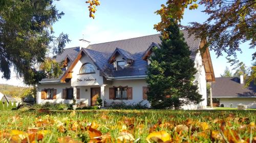 Фотография мини отеля Dom Malowany