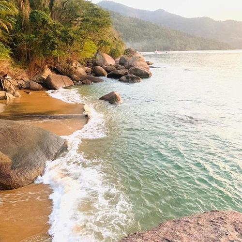 Фотография гостевого дома Fauna