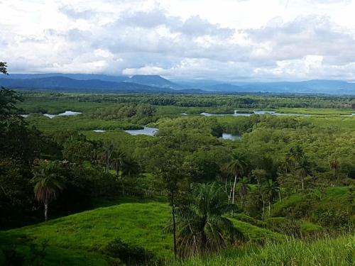 Фотография гостевого дома Finca Colibri