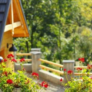 Фотографии мини отеля
Kasiablanka