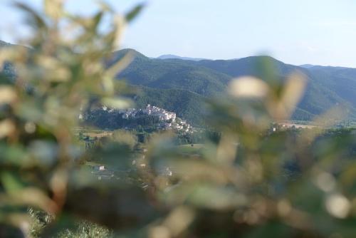 Фотография гостиницы Hotel Villa De Santis