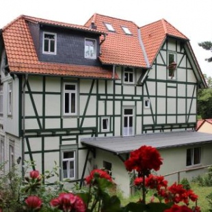 Фотография гостевого дома Pension Ginko