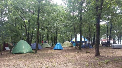 Фотография кемпинга Кемпинг Горизонт