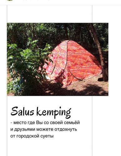 Фотографии кемпинга
Салус