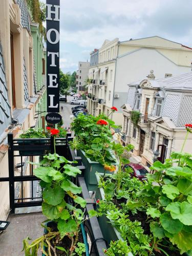 Фотографии гостиницы
Hotel Brighton