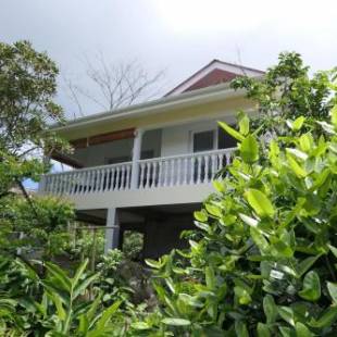 Фотография гостевого дома Tropical Garden Self Catering