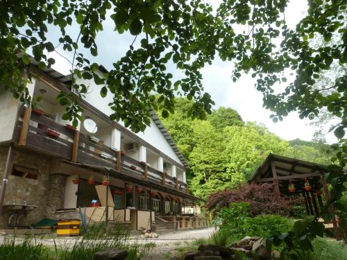 Фотография гостиницы Осьминог