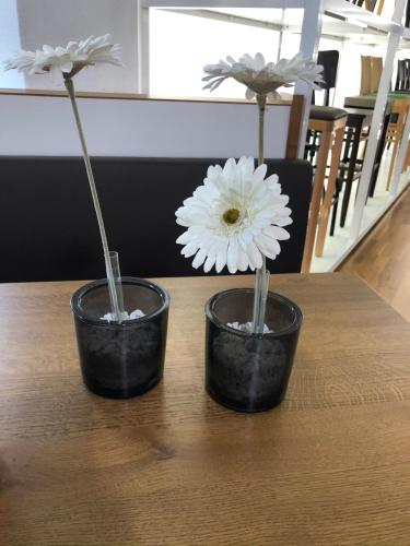 Фотография гостиницы Hotel Waitzingers