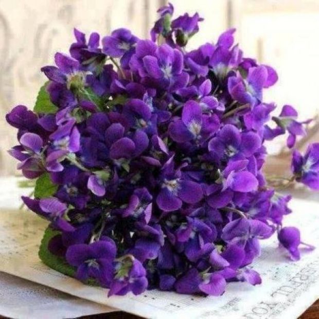 Фотографии гостевого дома
Guest House Perla