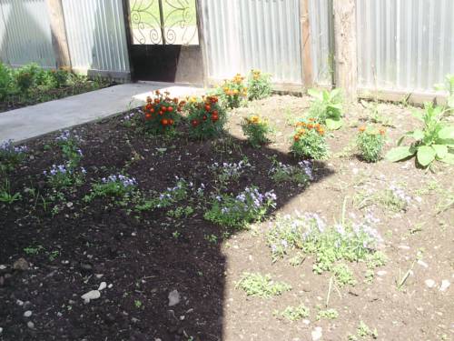 Фотография гостевого дома Легенда