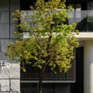 Фотографии гостиницы
DoubleTree by Hilton Taipei Zhongshan