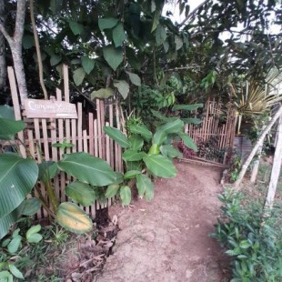 Фотография кемпинга Comunidade do Xingu Camping Site