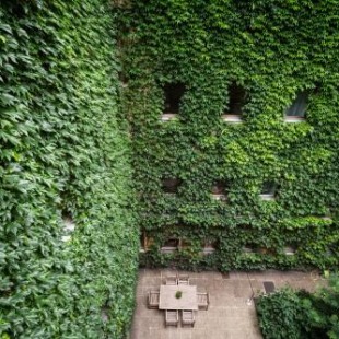 Фотография гостиницы Hotel Kunsthof