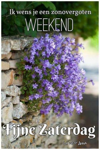 Фотография гостевого дома 't Gezellig Huizeke