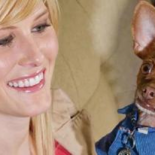 Фотография гостиницы Home2 Suites By Hilton Ft. Lauderdale Downtown, Fl