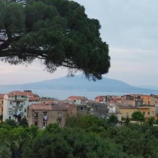 Фотографии мини отеля
BLU SEA SORRENTO