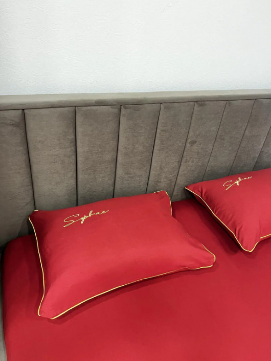 Фотографии квартиры 
            Апартаменты на проспекте Московский 132