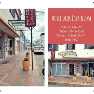 Фотография гостиницы Hotel Orquídea Neiva