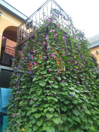 Фотография мини отеля Арина