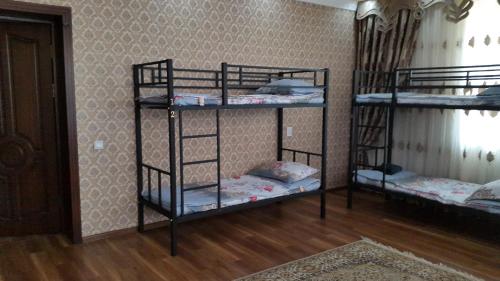 Фотография хостела Badam Cozy