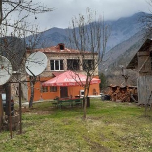 Фотография мини отеля Dandalo