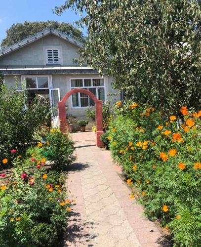 Фотография гостевого дома хан ленкорань 11