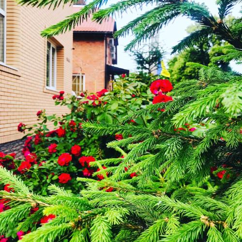 Фотография мини отеля Усадьба