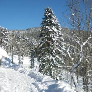 Фотографии мини отеля
FERME IM-BERG