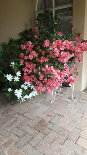 Фотография мини отеля Little Umhlanga. Sunflower suite.