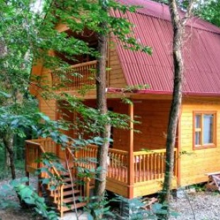 Фотография гостевого дома Домик под кленами