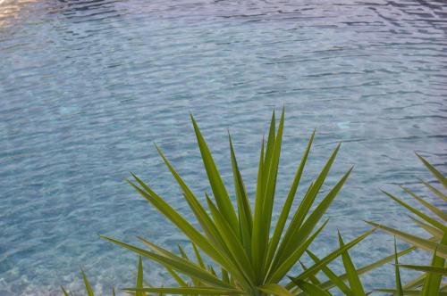 Фотография гостиницы Hotel Virgilio