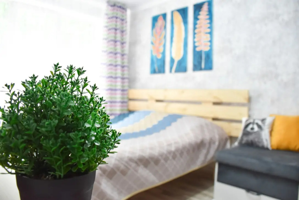 Фотография квартиры Квартира Уютная студия Жарокова–Си Синхая