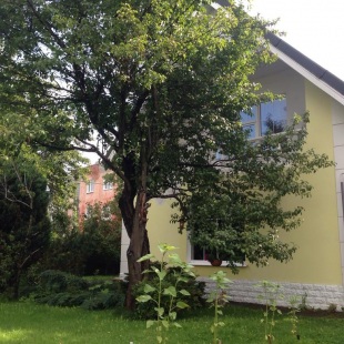 Фотография гостевого дома Амалиенау Хаус