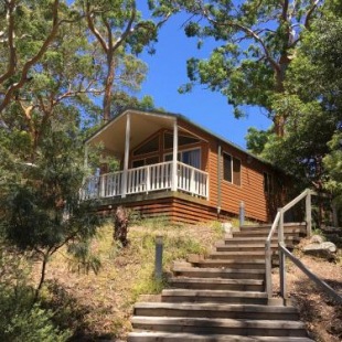 Фотография базы отдыха Discovery Parks - Lane Cove