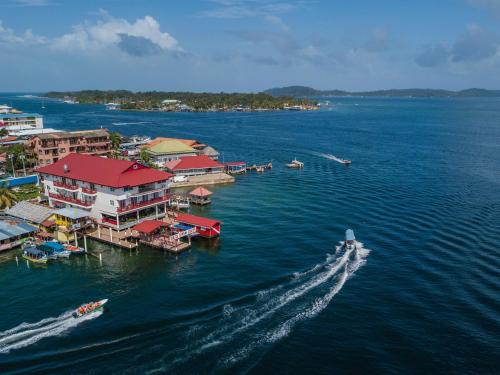 Фотографии гостиницы 
            Divers Paradise Boutique Hotel