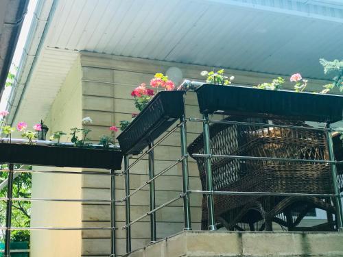 Фотографии гостевого дома
Солнечный