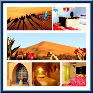 Фотографии мини отеля
La Vallée des Dunes - Maison d'hôtes et Bivouac