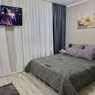 Фотография квартиры Квартира 1 комнатная Ленина 234