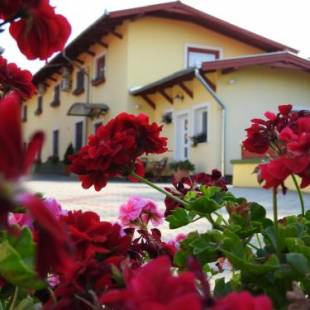 Фотографии гостевого дома
Halász Airport Panzio