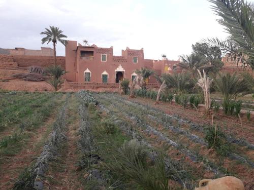 Фотография гостевого дома Hostel jnane dar diafa is in the center of tamegrouteface of the bibiotheque