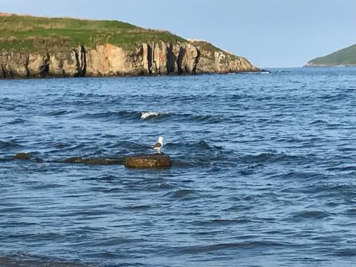 Фотографии кемпинга 
            Парус Мосина