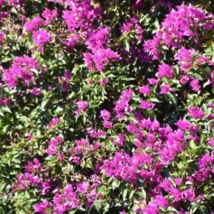 Фотографии базы отдыха
Azienda Agrituristica Biologica Il Querceto