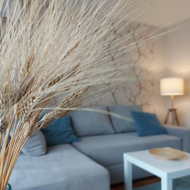 Фотографии квартиры 
            Апартаменты в тихом центре