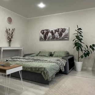 Фотография квартиры 1-комнатная квартира на улице Менделеева 11