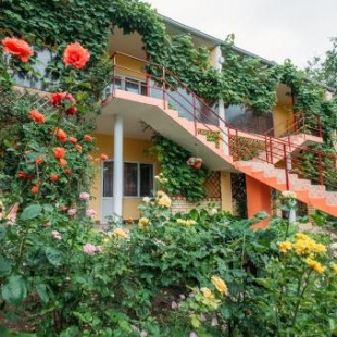 Фотография гостевого дома Нина на Тургенева, 160