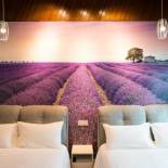 Фотография мини отеля Canning 33