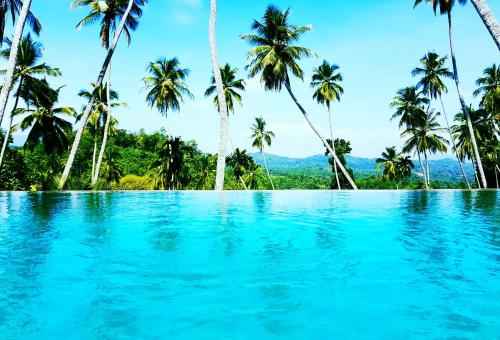 Фотография гостиницы The Flame Tree Estate & Hotel