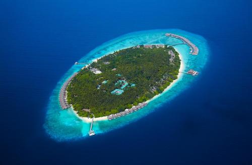 Фотография гостиницы Dusit Thani Maldives